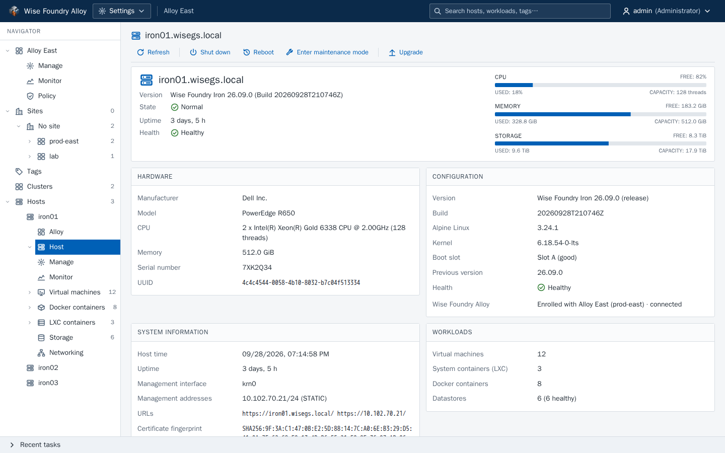 Wise Foundry Alloy's Navigator listing sites, clusters and hosts, with an Iron host's own Navigator tree opened under it, beside that host's summary page with its version, health, hardware, configuration and workloads